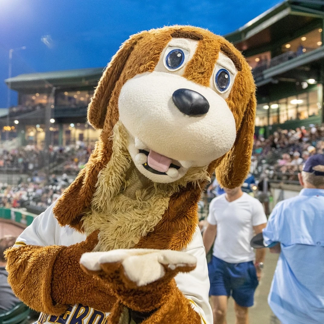 Charlie T. RiverDog Minor League Baseball Wiki Fandom