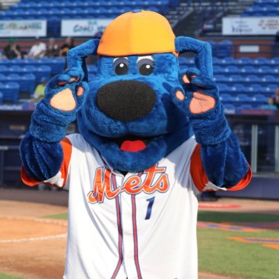 St. Lucie Mets - Wikipedia