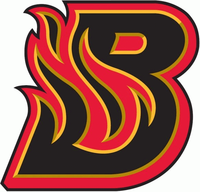 Bloomington Blaze | Minor League Hockey Wiki | Fandom