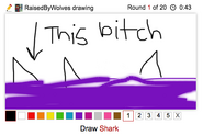 Draw It Shark