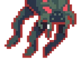 Elder