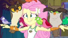 Vlcsnap-2016-12-05-13h14m47s074.png