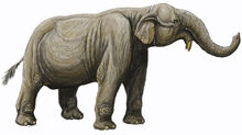Deinotherium.jpg