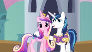 165547 - Cadence princess cadence royal wedding screencap screenshot shining armor spoiler spoilers spoiler alert