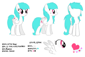 CottonHeartIDReference.png