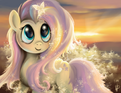 Tumblr static shining fluttershy by rom art-d56q9be