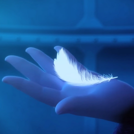 Pluma