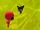 Łowca Kwami - Plagg w pułapce Łowcy Kwami.png