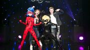 Miraculous-grevin-04-04-2018-9-27d50b-0@1x