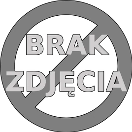 Brak zdjęcia.png