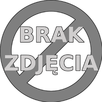 Brak zdjęcia.png