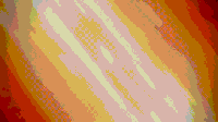 Kim transform