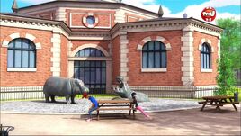 Zoo
