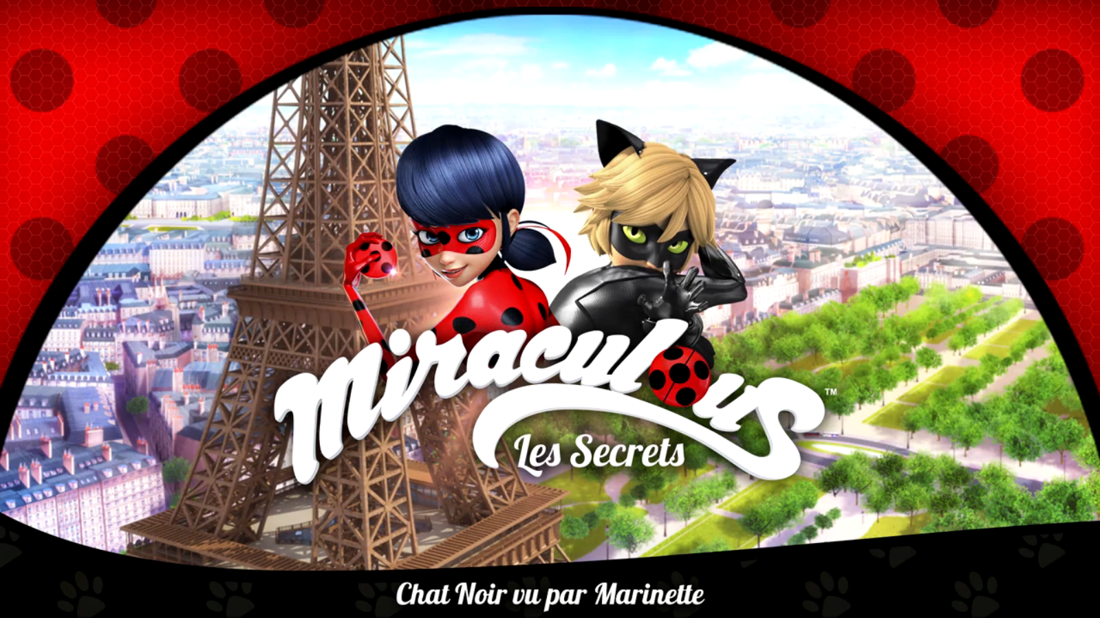 Chat Noir Vu Par Marinette Wiki Miraculous Ladybug Fandom