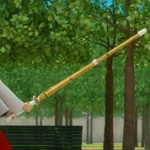 Shinai Tomoe