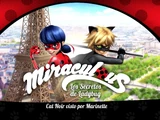 Cat Noir visto por Marinette