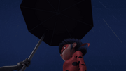 Ephemeral (311)
