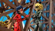 Miraculer (56)