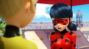 Miraculer (530)