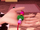 Braccialetto di Marinette