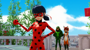 Miraculer (379)