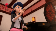 Miraculer (305)