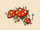 Fly agaric.png