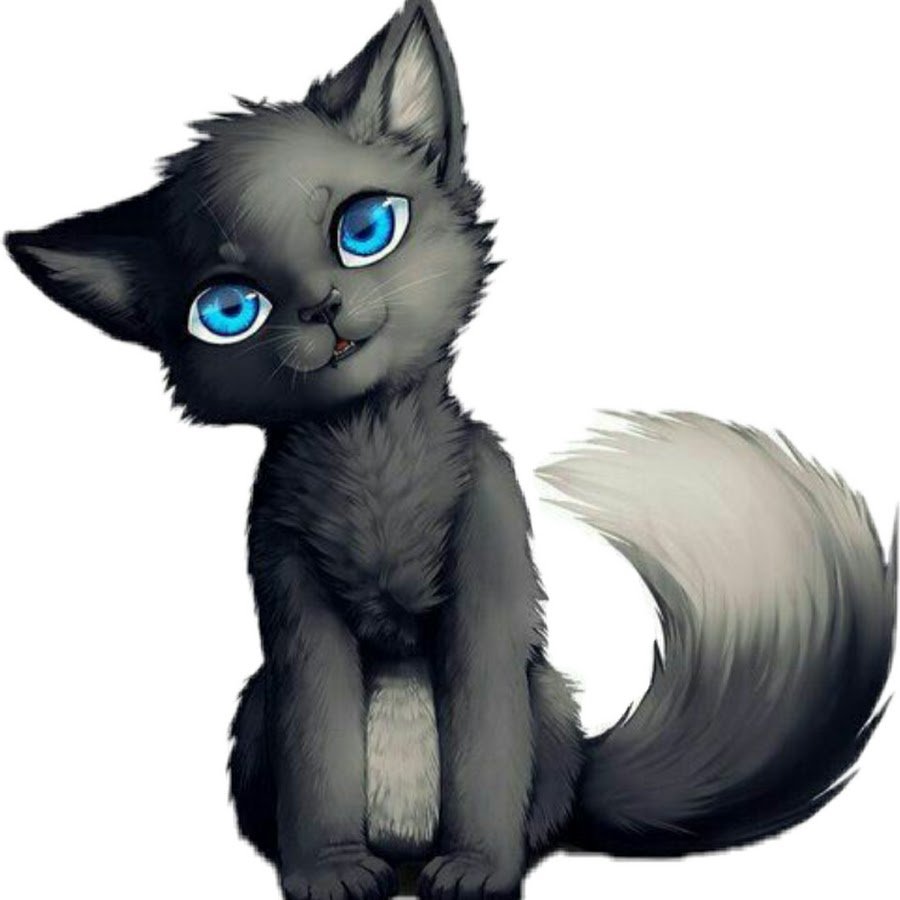 WARRIOR CATS Photo: Jayfeather 3 Warrior cats, Warrior cats books, Warrior cat