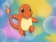 Charmander 12