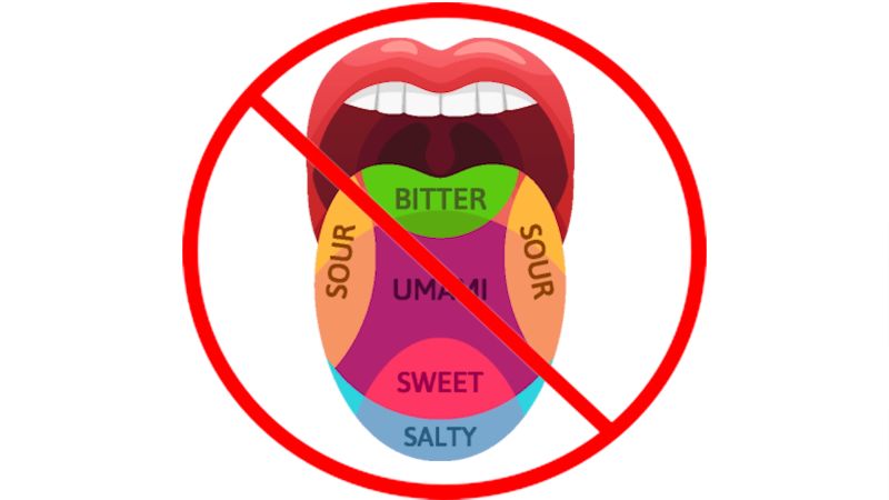 Tongue map  Misconceptions Wiki  Fandom