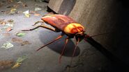 A Giant Roach seen at night. Note the outdated model.