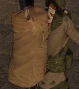 A player with a Tan Duffel Bag equipped.