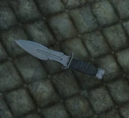 Miscreatedknifehunting.jpg (24 KB) World model.