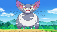 Purugly in the Pokemon anime