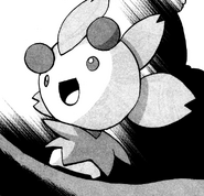 Cherrim in the Pokemon manga