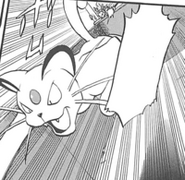 Persian in the Pokemon Manga