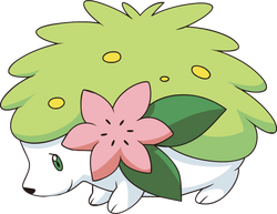 Shaymin/Shiny, PokéMeow Wiki