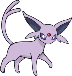 Xuan the Espeon and Bellicoso-Apaisé the Zweilous [Chargestone, Unova]