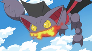 Gliscor in the Pokemon Anime