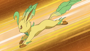 Leafeon in the Pokemon Anime