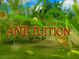 Ant-tuition