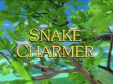 Snake Charmer