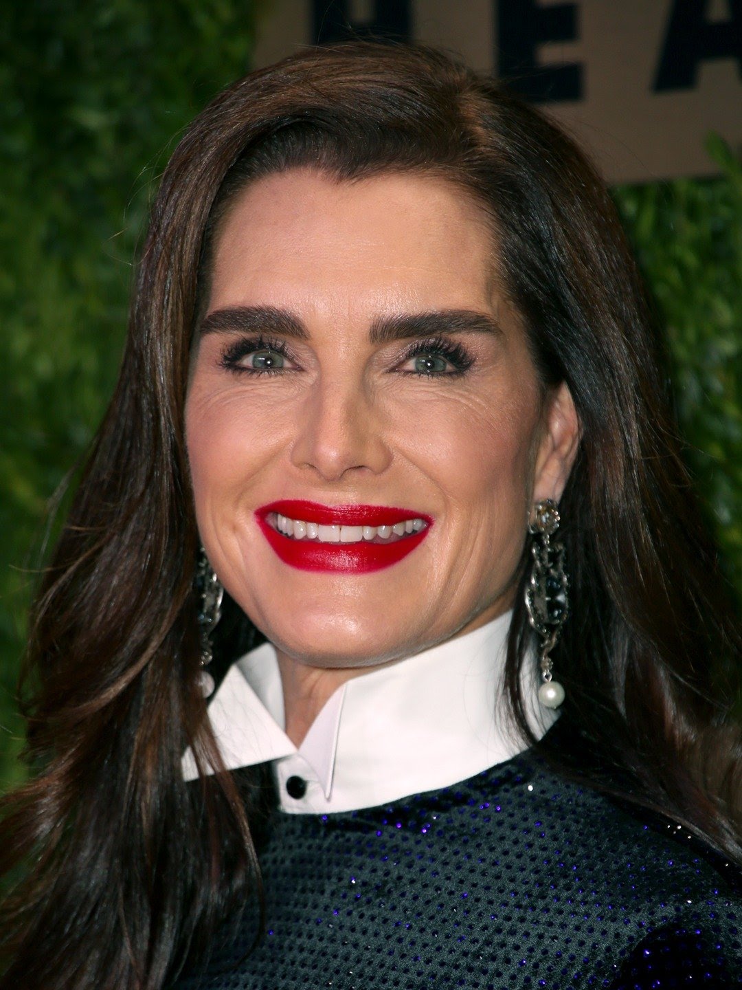 gary gross brooke shields