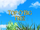 Top O'Big Tree
