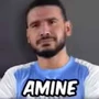 Aminemrbeastvid50yt