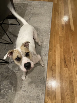 Pinky | MrBeast Wiki | Fandom