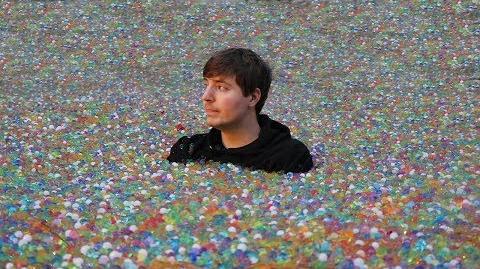 25 million orbeez cost discount