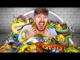 Would You Sit In Snakes For $10,000?