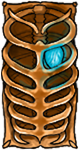 Copper Ribcage