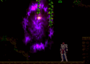Portal.gif